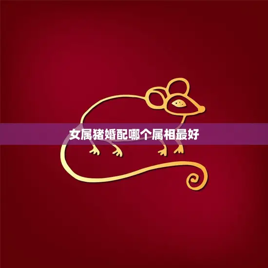 女属猪婚配哪个属相最好(最佳婚配属相大揭秘)