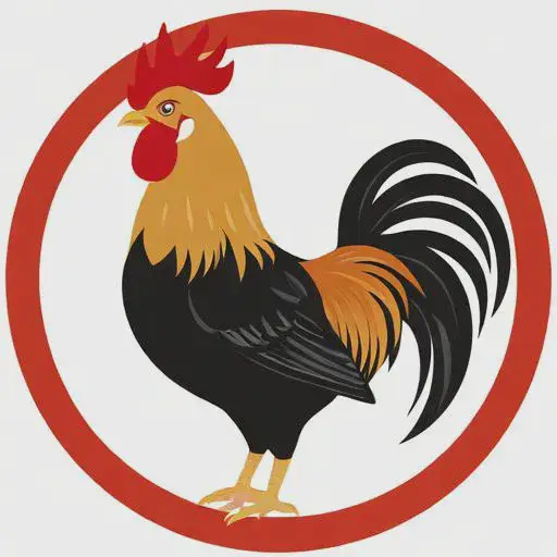 2025属属鸡人的全年运势如何:属鸡的人今年运气如何 2025属属鸡人的全年运势如何:属鸡的人今年运气如何