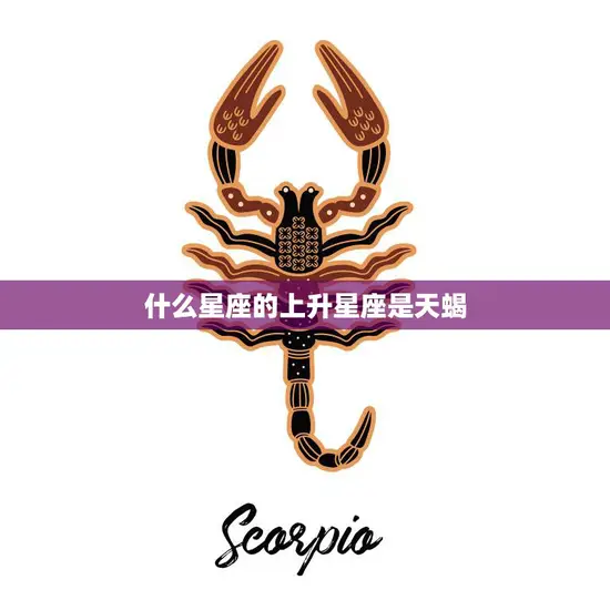什么星座的上升星座是天蝎(揭秘星座奥秘)