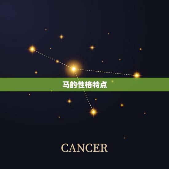 马的性格特点