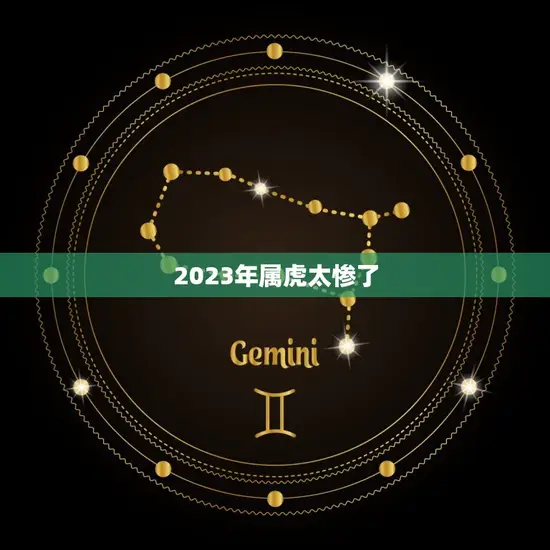 2023年属虎太惨了