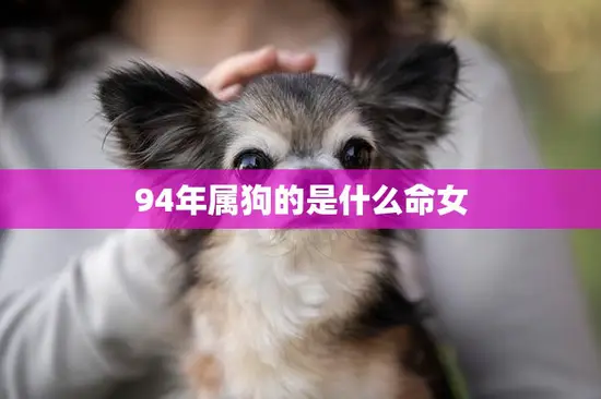 94年属狗的是什么命女(命运如何)