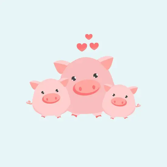 生肖猪的上上等婚配女7(完美匹配的爱情奇迹)