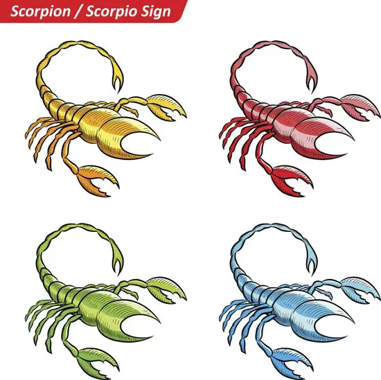 射手女和天蝎女谁智商高(智商大PK谁更聪明)