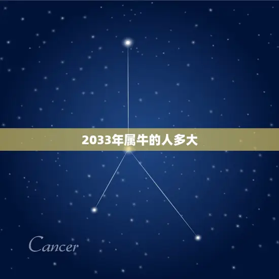 2033年属牛的人多大