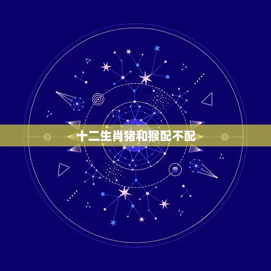 十二生肖猪和猴配不配
