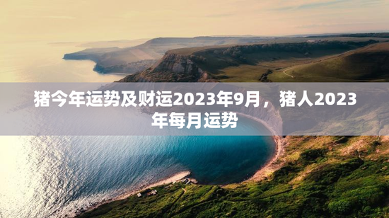 猪今年运势及财运2023年9月，猪人2023年每月运势