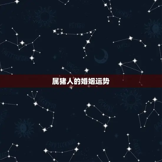 属猪人的婚姻运势