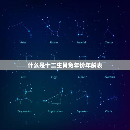 什么是十二生肖兔年份年龄表