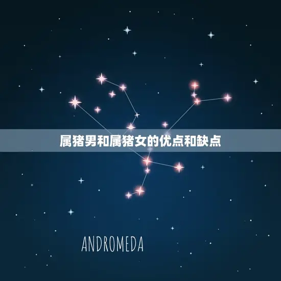 属猪男和属猪女的优点和缺点
