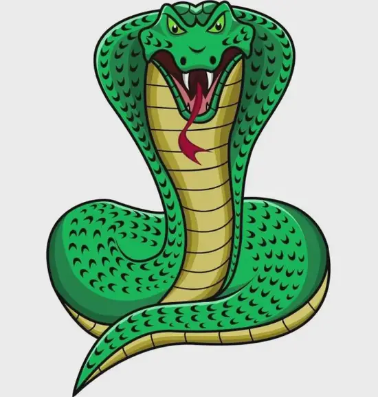 生肖蛇2025年龙年运程