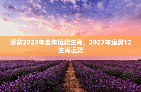 算命2023年全年运势生肖，2023年运势12生肖运势