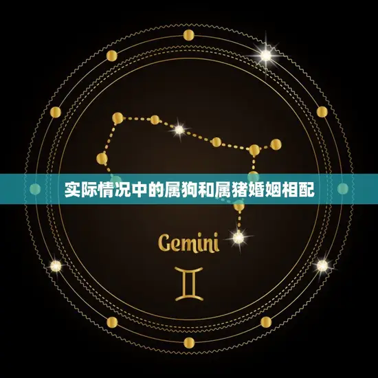 实际情况中的属狗和属猪婚姻相配