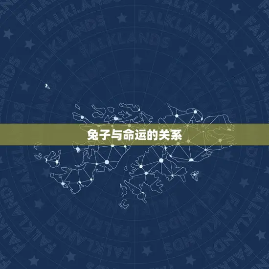 兔子与命运的关系