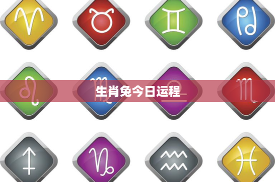 生肖兔今日运程：事业挑战如何化解？财运暗藏惊喜