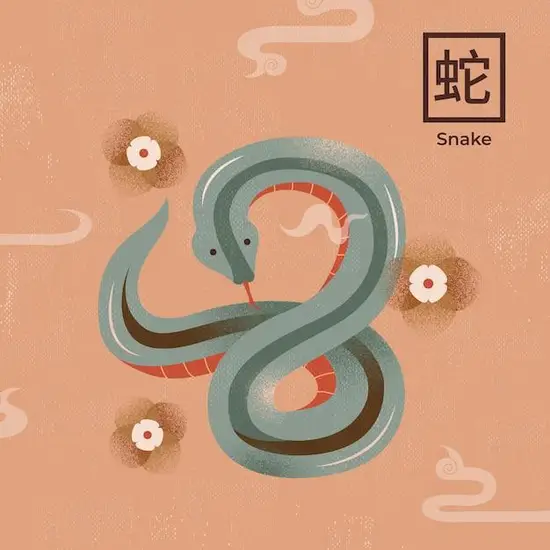 为什么说属蛇的人命不好(探究命理学还是迷信)