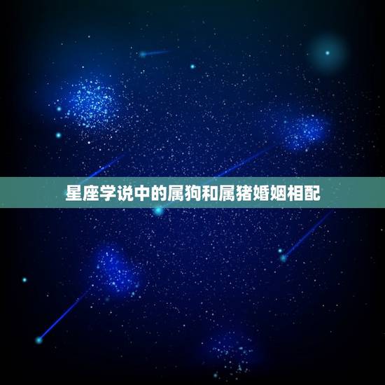 星座学说中的属狗和属猪婚姻相配