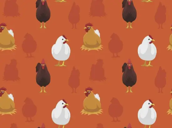 生肖鸡今日财运解析