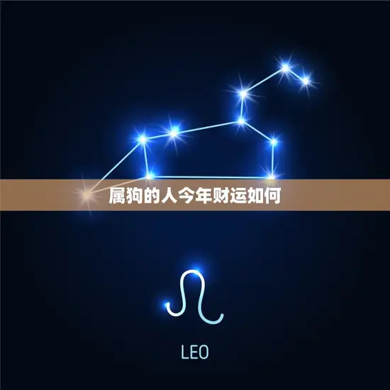 属狗的人今年财运如何