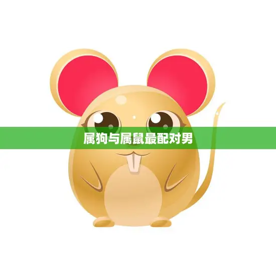 属狗与属鼠最配对男(解析属狗男与属鼠女的爱情契合度)