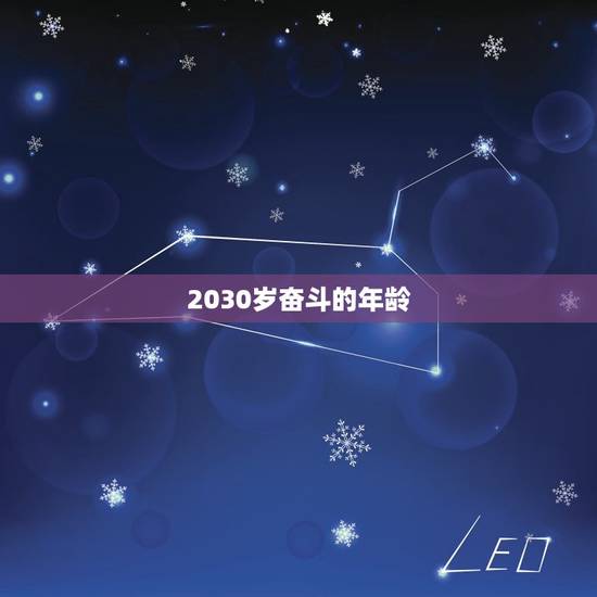 2030岁奋斗的年龄