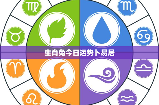 生肖兔今日运势卜易居：温暖知己的生活密码