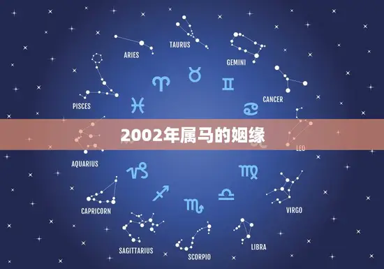 2002年属马的姻缘