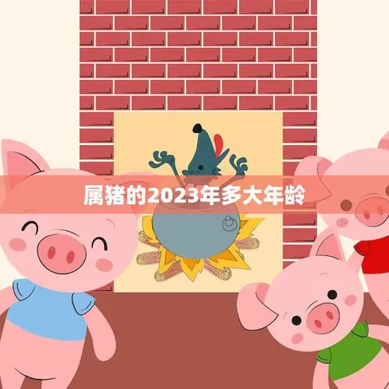 属猪的2023年多大年龄(猪年到猪宝宝几岁了)