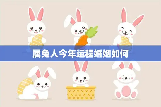 属兔人今年运程婚姻如何(2023年属兔人的运势和婚姻展望)