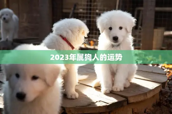 2023年属狗人的运势(财运亨通事业顺利健康平稳)