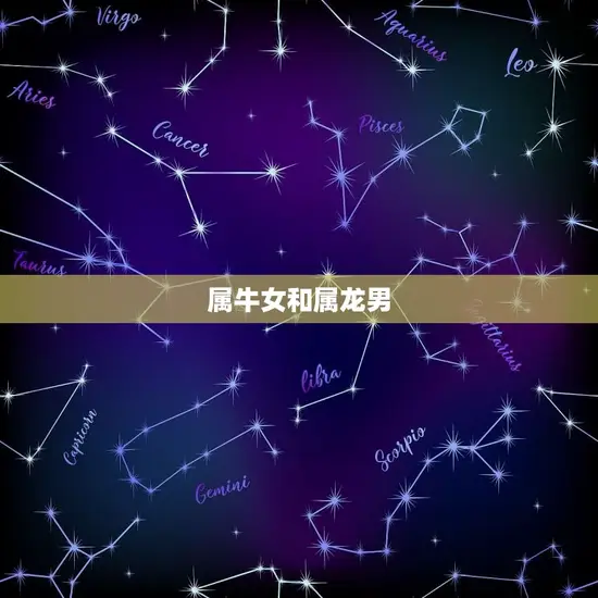 属牛女和属龙男