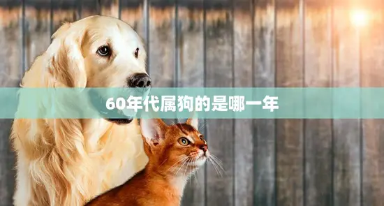 60年代属狗的是哪一年(狗年出生的人有哪些特点)