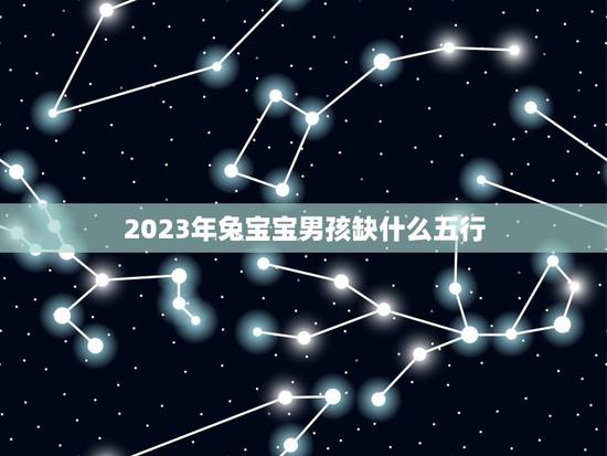 2023年兔宝宝男孩缺什么五行(详解兔宝宝男孩命理学)