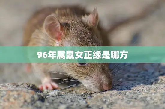 96年属鼠女正缘是哪方(寻找真爱的路上谁是她的缘份)
