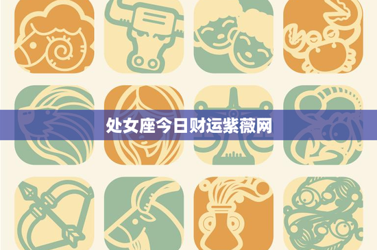 处女座今日财运紫薇网：投资攻略大揭秘