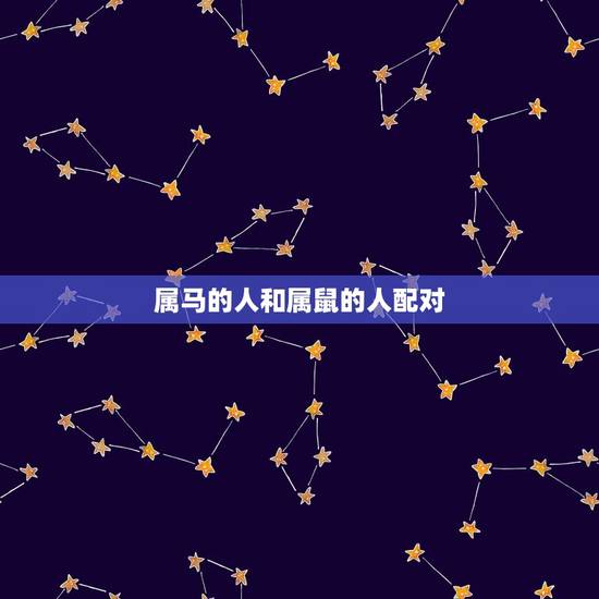 属马的人和属鼠的人配对