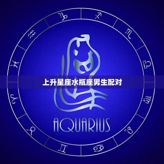 上升星座水瓶座男生配对(完美星座组合)