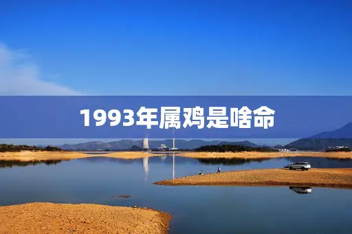1993年属鸡是啥命