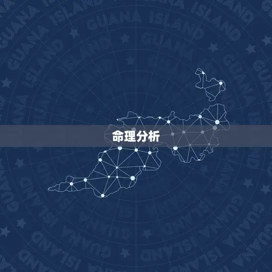 命理分析 命理分析