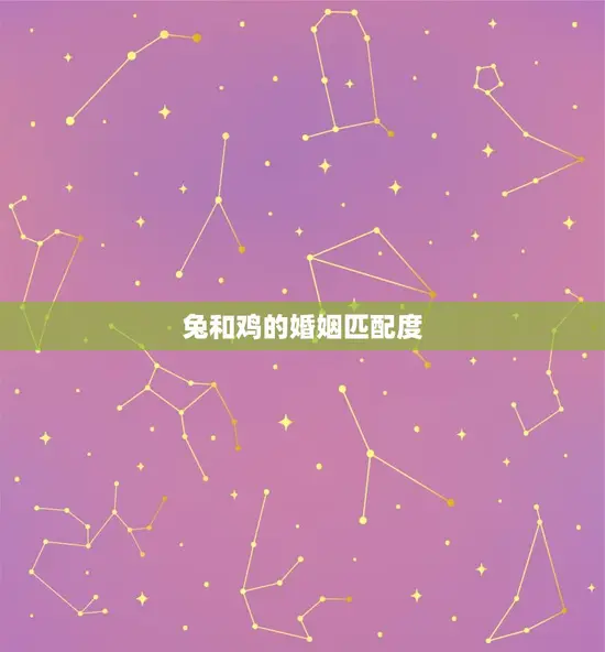 兔和鸡的婚姻匹配度