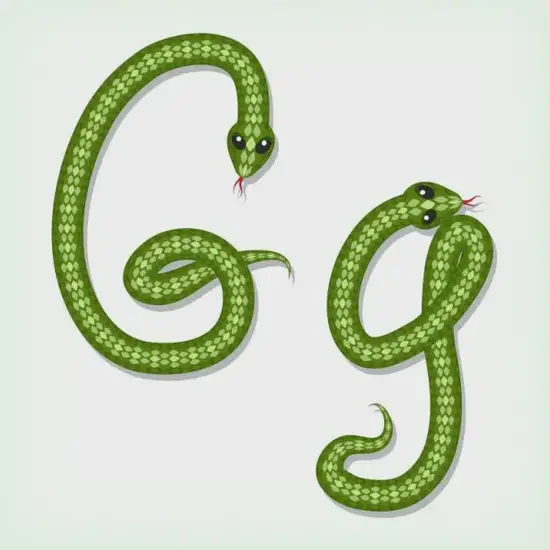 生肖蛇财运方位