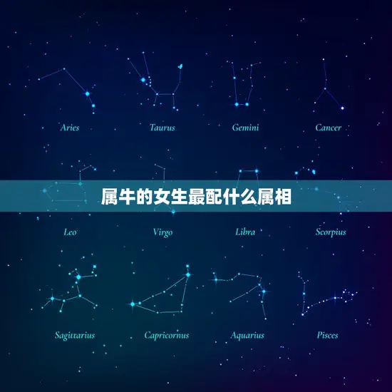 属牛的女生最配什么属相