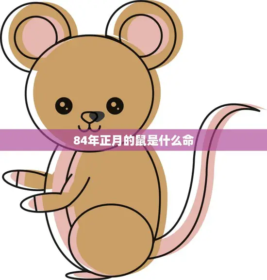 84年正月的鼠是什么命(解析属相、五行、命运) 84年正月的鼠是什么命(解析属相、五行、命运)