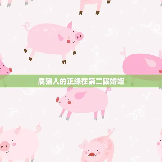 属猪人的正缘在第二段婚姻(为何越来越多人选择二婚)