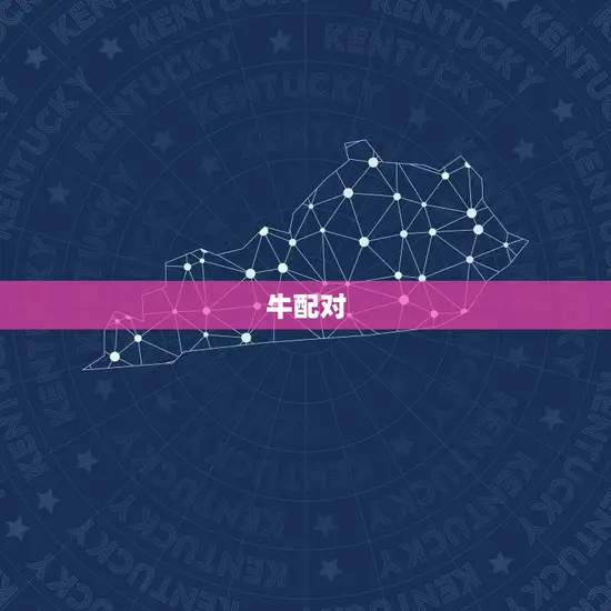 牛配对