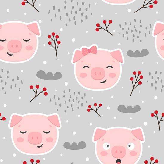 71年属猪50岁后命运(如何转运)