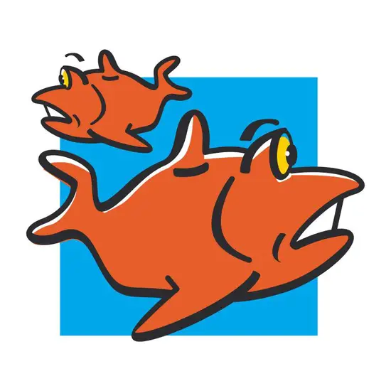 双鱼今年运势查询2023(探寻未来把握机遇) 双鱼今年运势查询2023(探寻未来把握机遇)