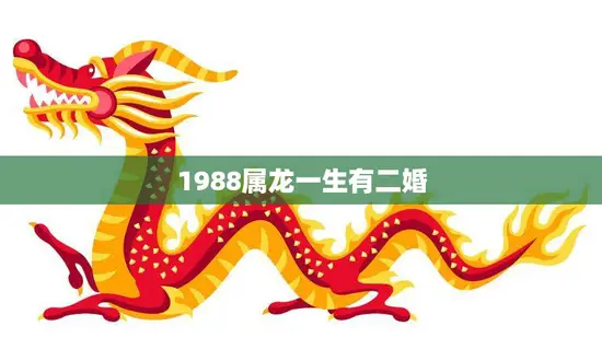 1988属龙一生有二婚(命运注定的婚姻路)