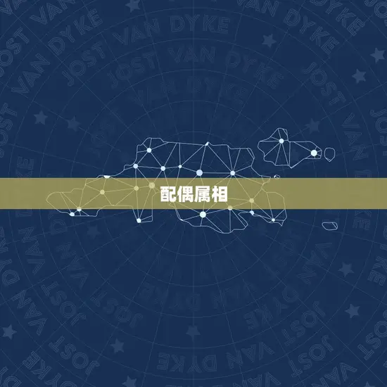 配偶属相
