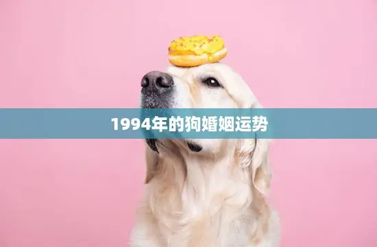 1994年的狗婚姻运势(幸福美满但需注意沟通和信任) 1994年的狗婚姻运势(幸福美满但需注意沟通和信任)
